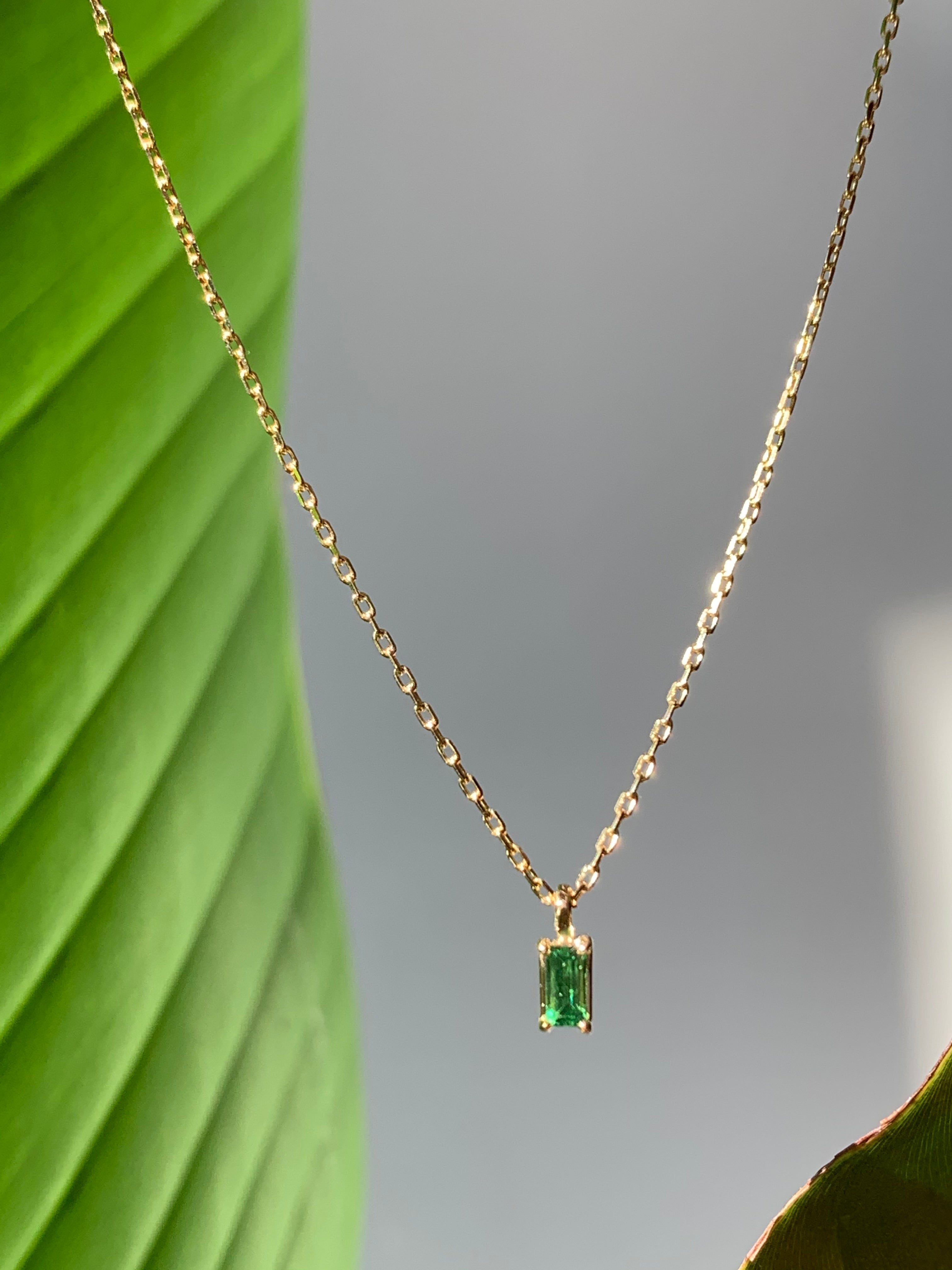 IMG_2491.jpg?v=1592952702