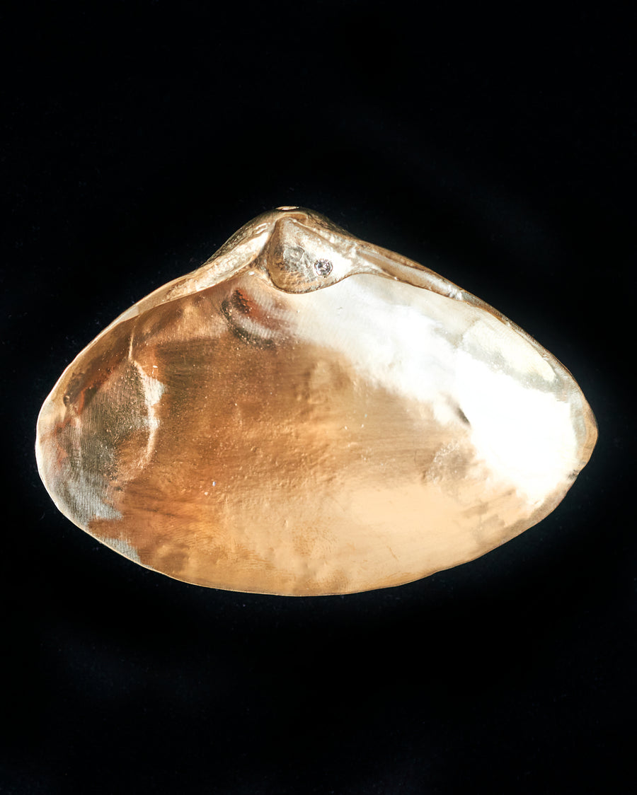 Large Golden Shell White Diamond