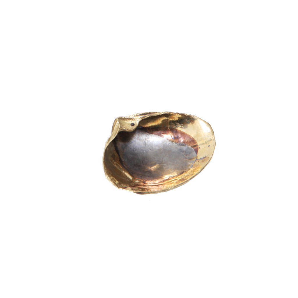 Small Golden Diamond Shell – Wendy Nichol