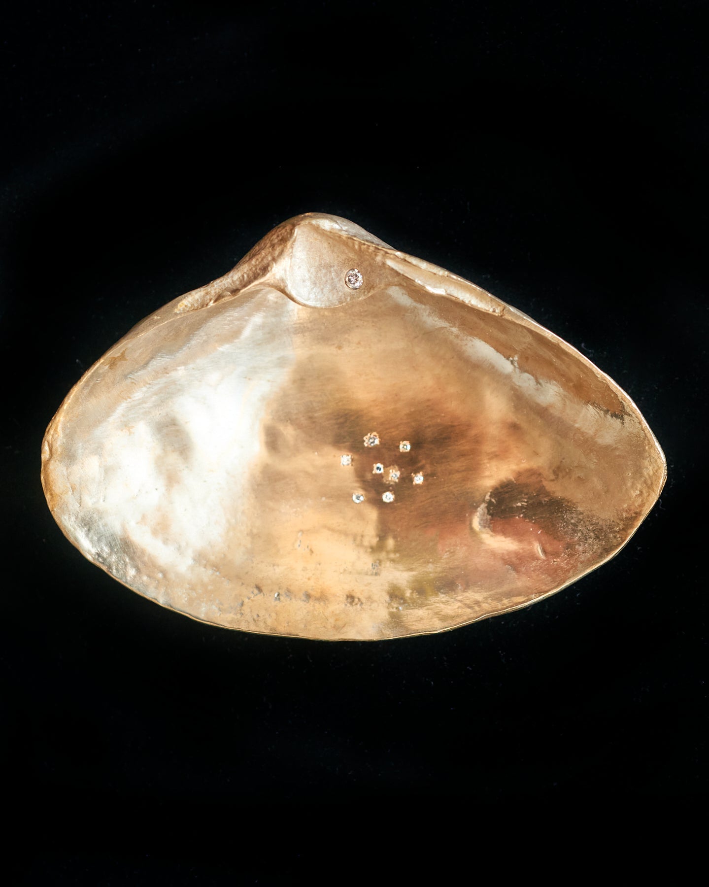 Diamond Sand Sparkle Small Golden Shell – Wendy Nichol